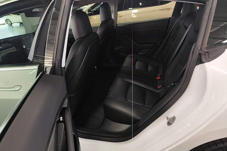 Used Tesla Model 3 2019 Standard Range Rear-Drive Upgraded Version Left Rear Seat