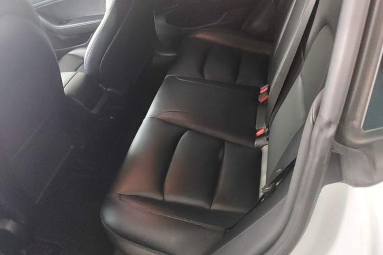 Used Tesla Model 3 2019 Long-Range All-Wheel-Drive Version Left Rear Seat