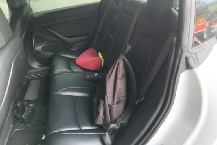 Used Tesla Model 3 2019 Standard Range Rear-Wheel Drive Upgraded Version (52 kWh) Left Rear Seat