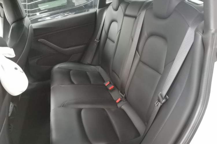 Used Tesla Model 3 2019 Standard Range Rear-Wheel Drive Upgraded Version (52 kWh) Left Rear Seat