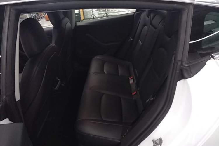 Used Tesla Model 3 2019 Long-Range All-Wheel-Drive Version Left Rear Seat