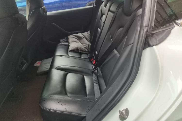 Used Tesla Model 3 2019 Long-Range Rear-Wheel-Drive Version Left Rear Seat