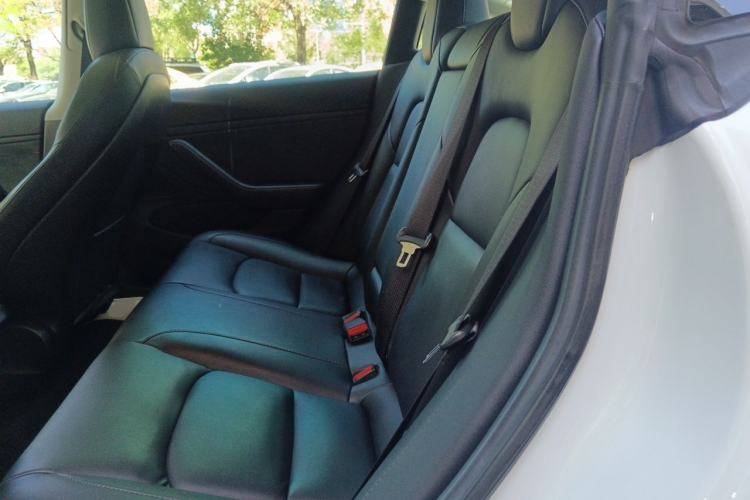 Used Tesla Model 3 2019 Standard Range Rear-Wheel Drive Upgraded Version (52 kWh) Left Rear Seat