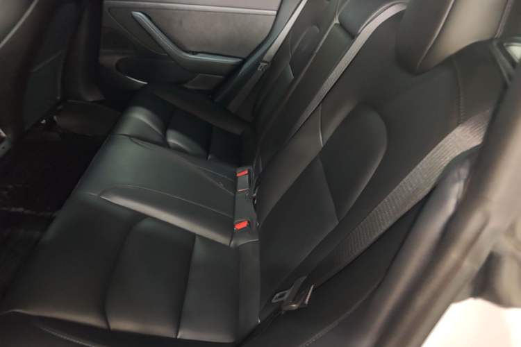 Used Tesla Model 3 2019 Standard Range Rear-Drive Upgraded Version Left Rear Seat