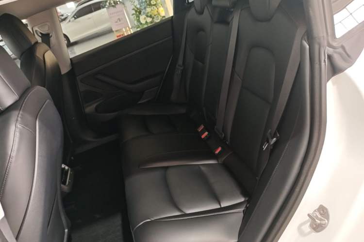 Used Tesla Model 3 2019 Standard Range Rear-Drive Upgraded Version Left Rear Seat