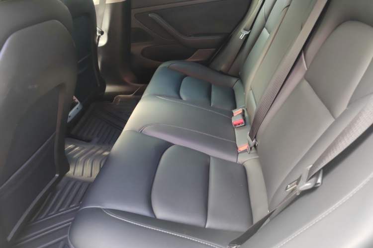 Used Tesla Model 3 2019 Standard Range Rear-Wheel Drive Upgraded Version (52 kWh) Left Rear Seat