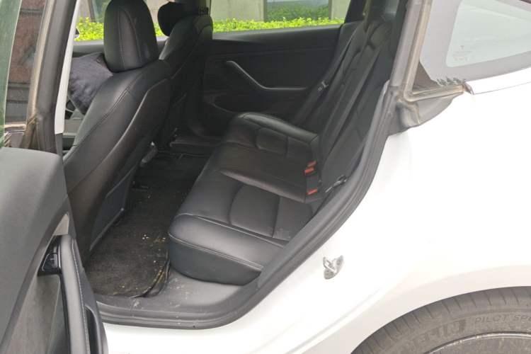 Used Tesla Model 3 2019 Standard Range Rear-Wheel Drive Upgraded Version (60 kWh) Left Rear Seat