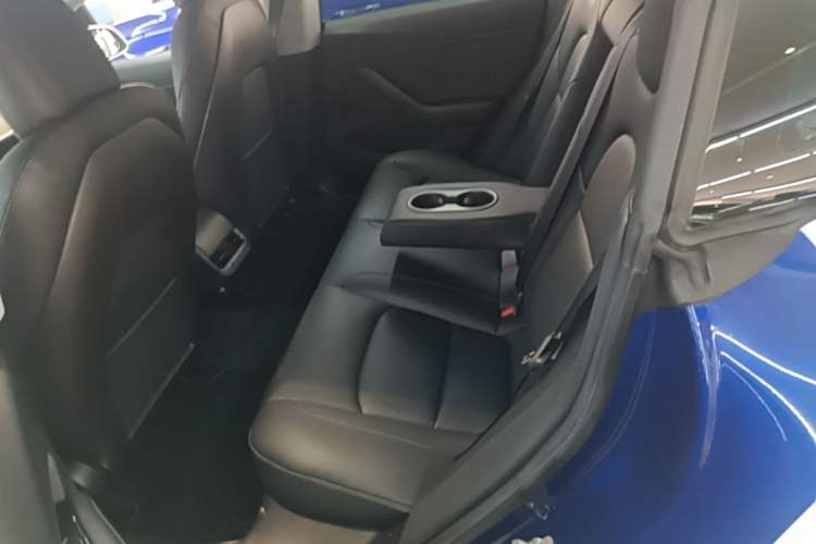 Used Tesla Model 3 2019 Standard Range Rear-Wheel Drive Upgraded Version (52 kWh) Left Rear Seat