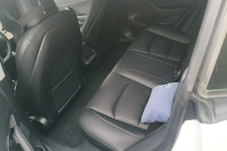 Used Tesla Model 3 2019 Standard Range Rear-Drive Upgraded Version Left Rear Seat