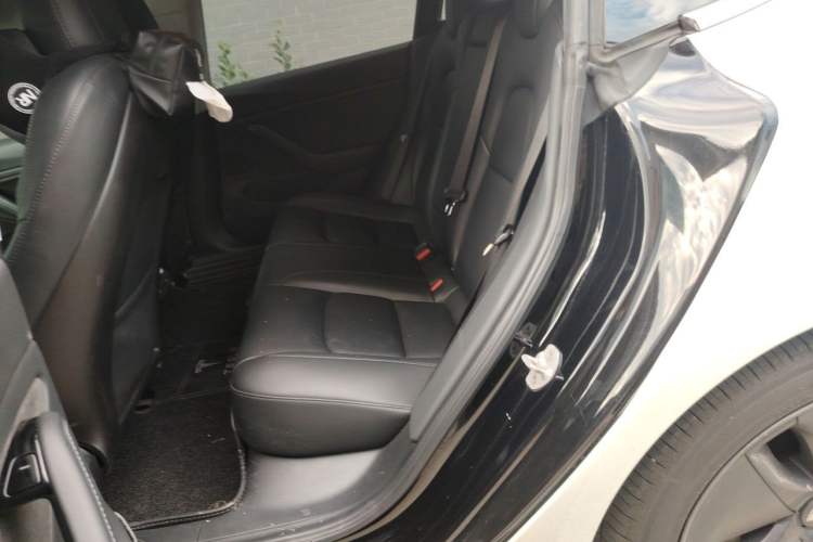 Used Tesla Model 3 2019 Long-Range All-Wheel-Drive Version Left Rear Seat