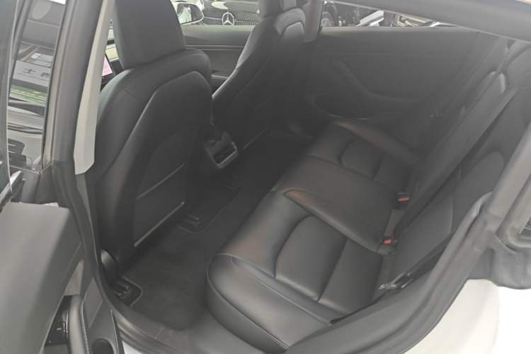 Used Tesla Model 3 2019 Long-Range Rear-Wheel-Drive Version Left Rear Seat