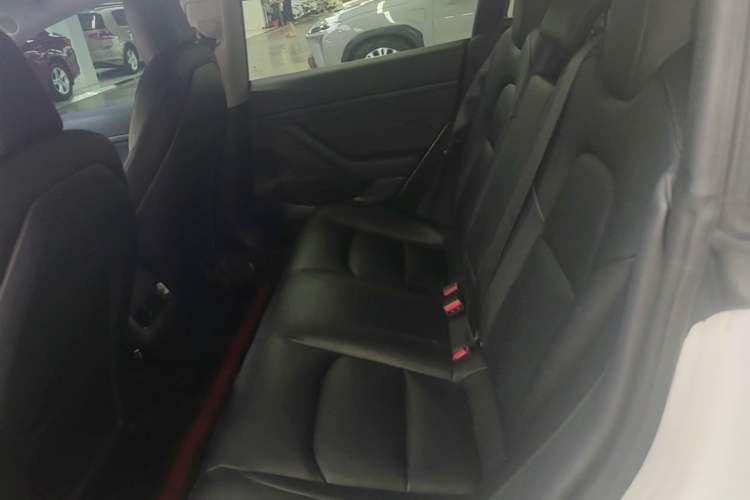 Used Tesla Model 3 2019 Standard Range Rear-Drive Upgraded Version Left Rear Seat
