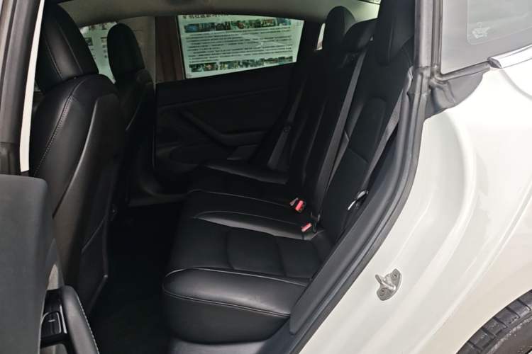 Used Tesla Model 3 2019 Standard Range Rear-Wheel Drive Upgraded Version (52 kWh) Left Rear Seat