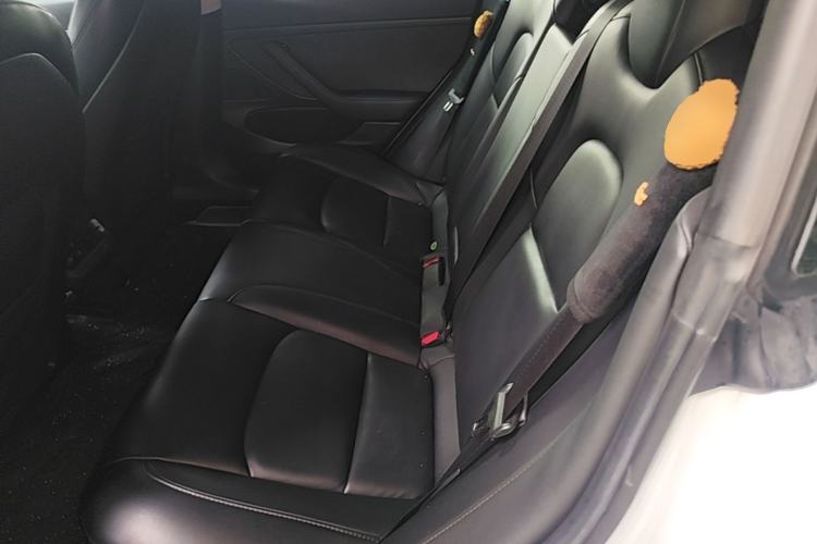 Used Tesla Model 3 2019 Standard Range Rear-Wheel Drive Upgraded Version (52 kWh) Left Rear Seat