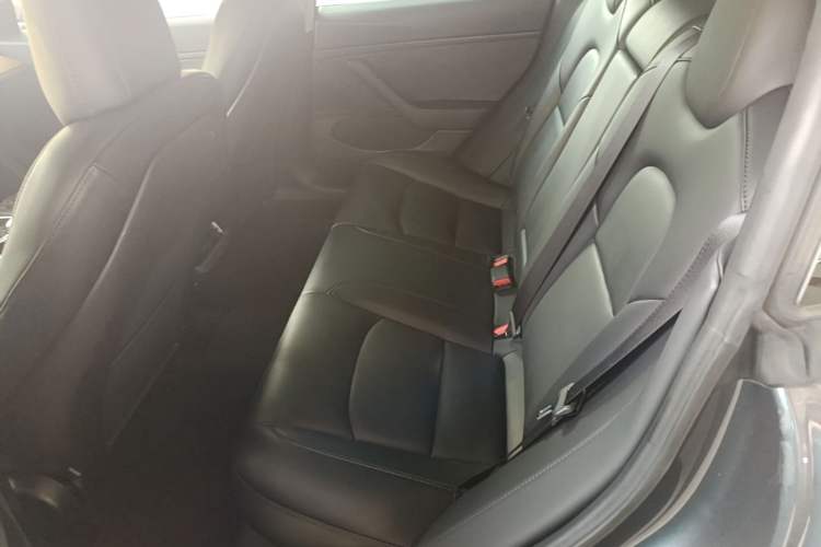Used Tesla Model 3 2019 Long-Range Rear-Wheel-Drive Version Left Rear Seat