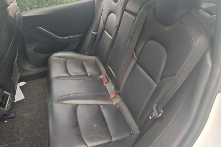 Used Tesla Model 3 2019 Long-Range Rear-Wheel-Drive Version Left Rear Seat