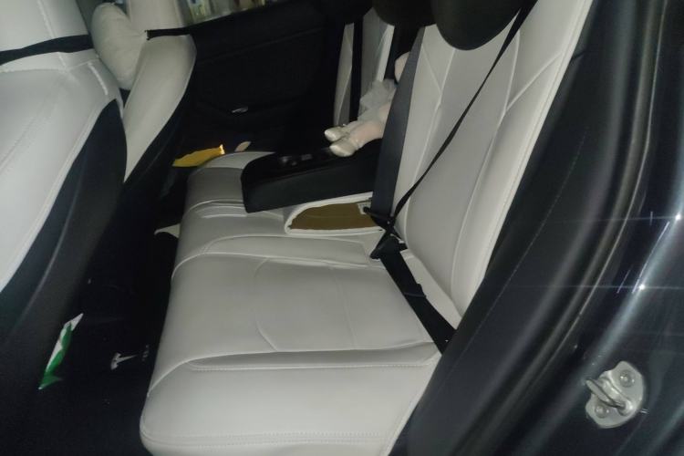 Used Tesla Model 3 2019 Long-Range All-Wheel-Drive Version Left Rear Seat
