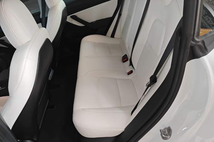 Used Tesla Model 3 2019 Standard Range Rear-Wheel Drive Upgraded Version (60 kWh) Left Rear Seat