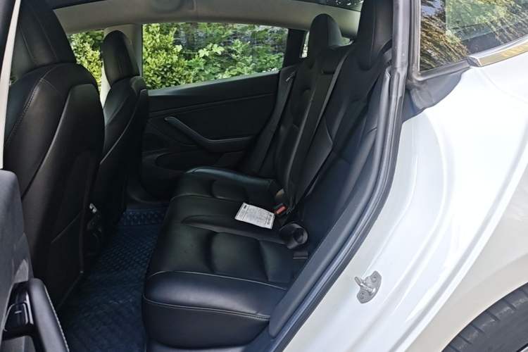 Used Tesla Model 3 2019 Standard Range Rear-Wheel Drive Upgraded Version (52 kWh) Left Rear Seat