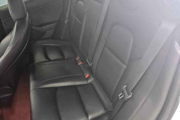 Used Tesla Model 3 2019 Long-Range Rear-Wheel-Drive Version Left Rear Seat