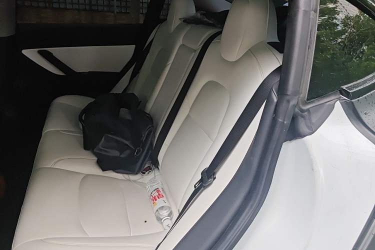 Used Tesla Model 3 2019 Standard Range Rear-Wheel Drive Upgraded Version (52 kWh) Left Rear Seat