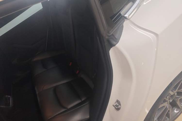 Used Tesla Model 3 2019 Standard Range Rear-Drive Upgraded Version Left Rear Seat