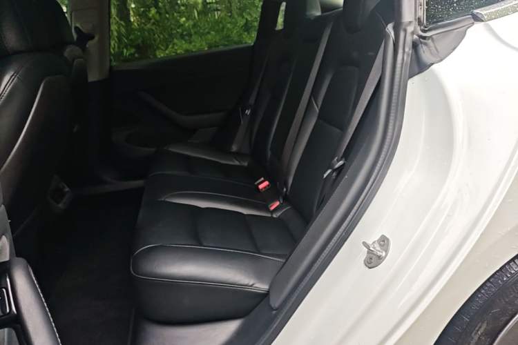 Used Tesla Model 3 2019 Long-Range All-Wheel-Drive Version Left Rear Seat
