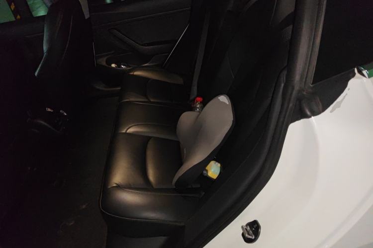 Used Tesla Model 3 2019 Standard Range Rear-Drive Upgraded Version Left Rear Seat
