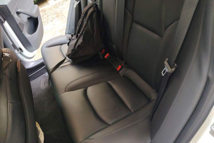 Used Tesla Model 3 2019 Long-Range All-Wheel-Drive Version Left Rear Seat