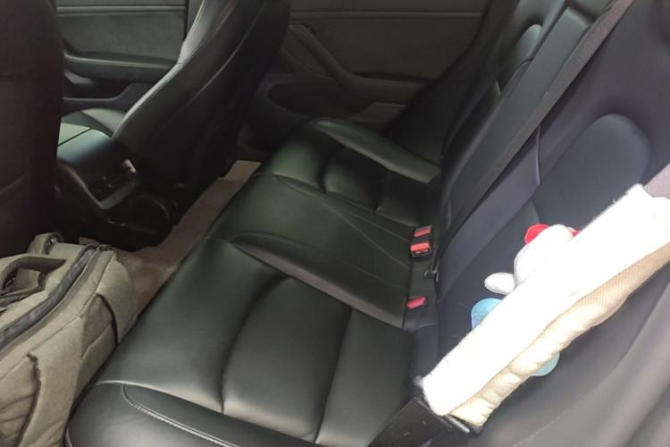 Used Tesla Model 3 2019 Long-Range Rear-Wheel-Drive Version Left Rear Seat