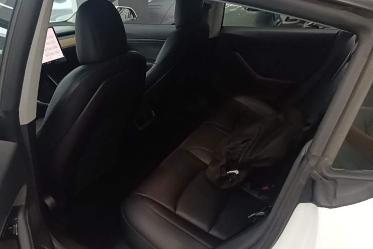 Used Tesla Model 3 2019 Long-Range All-Wheel-Drive Version Left Rear Seat