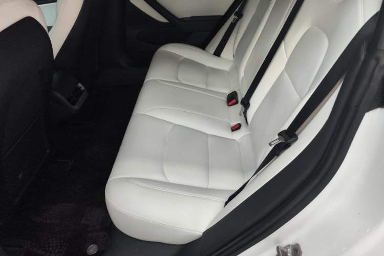 Used Tesla Model 3 2019 Long-Range Rear-Wheel-Drive Version Left Rear Seat