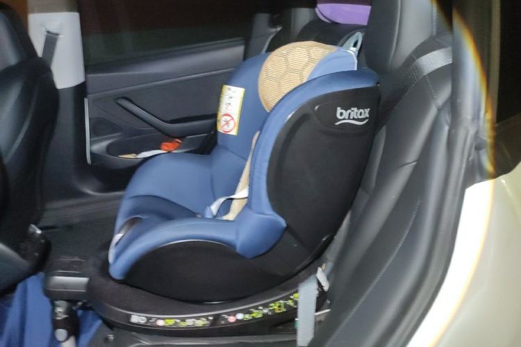 Used Tesla Model 3 2019 Standard Range Rear-Drive Upgraded Version Left Rear Seat