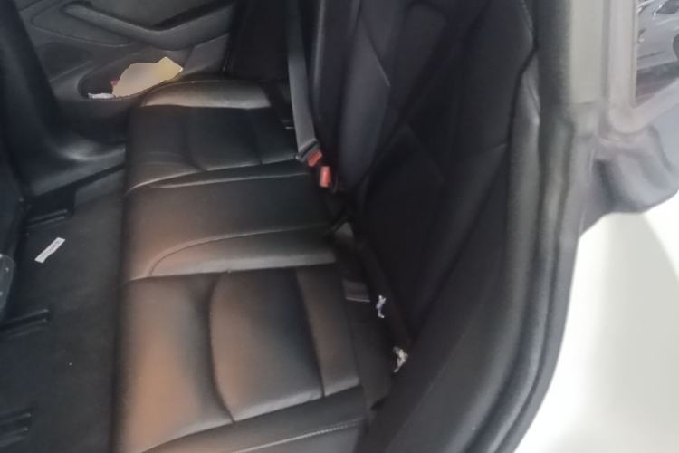 Used Tesla Model 3 2019 Long-Range Rear-Wheel-Drive Version Left Rear Seat