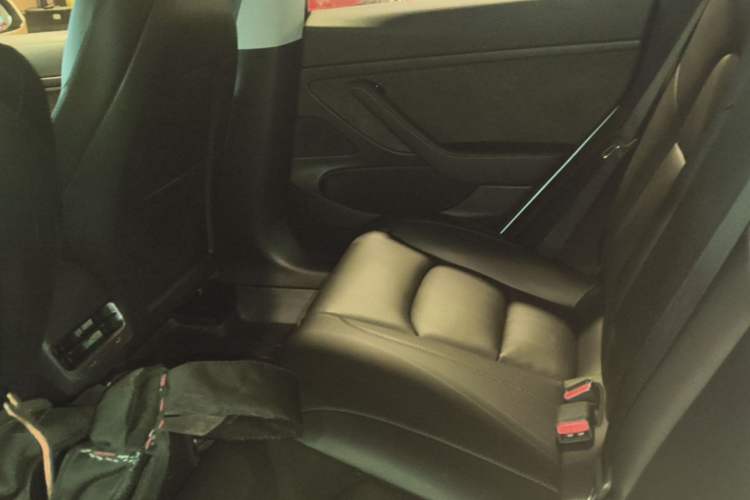 Used Tesla Model 3 2019 Standard Range Rear-Drive Upgraded Version Left Rear Seat