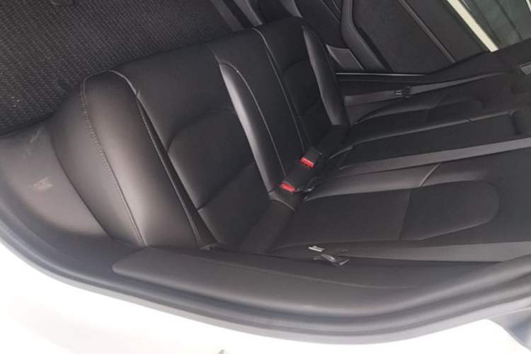 Used Tesla Model 3 2019 Standard Range Rear-Drive Upgraded Version Left Rear Seat