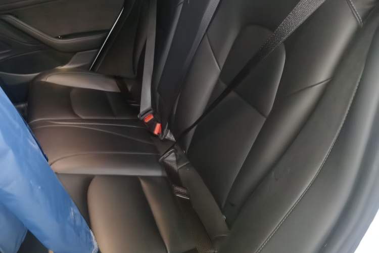 Used Tesla Model 3 2019 Standard Range Rear-Drive Upgraded Version Left Rear Seat