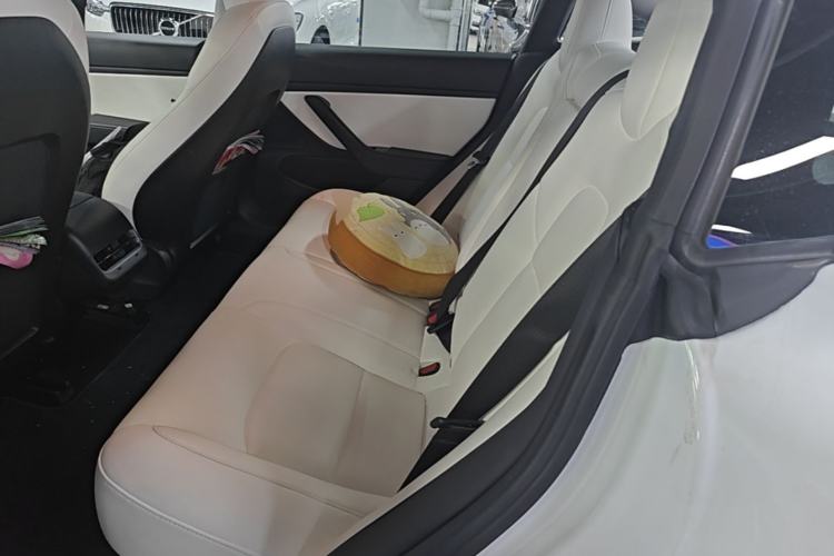 Used Tesla Model 3 2019 Long-Range Rear-Wheel-Drive Version Left Rear Seat