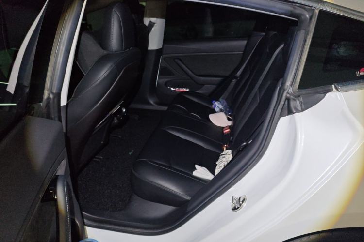 Used Tesla Model 3 2019 Standard Range Rear-Wheel Drive Upgraded Version (60 kWh) Left Rear Seat
