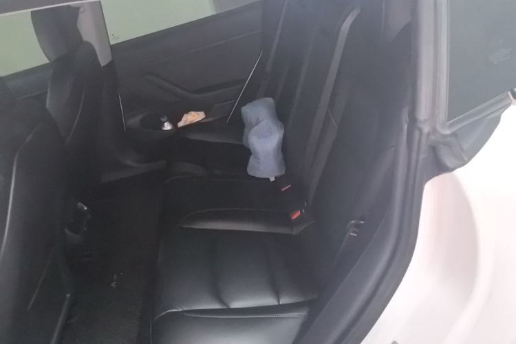Used Tesla Model 3 2019 Standard Range Rear-Drive Upgraded Version Left Rear Seat
