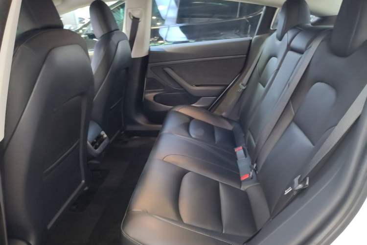 Used Tesla Model 3 2019 Standard Range Rear-Drive Upgraded Version Left Rear Seat