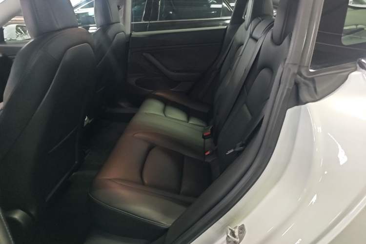Used Tesla Model 3 2019 Long-Range All-Wheel-Drive Version Left Rear Seat