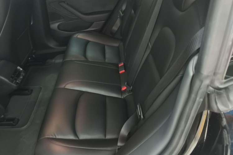 Used Tesla Model 3 2019 Standard Range Rear-Drive Upgraded Version Left Rear Seat