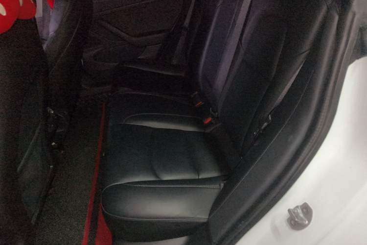 Used Tesla Model 3 2019 Long-Range All-Wheel-Drive Version Left Rear Seat