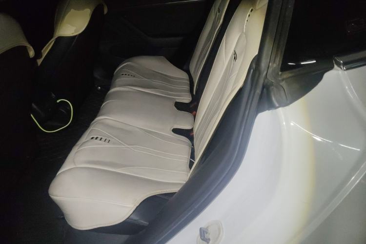 Used Tesla Model 3 2019 Standard Range Rear-Wheel Drive Upgraded Version (60 kWh) Left Rear Seat