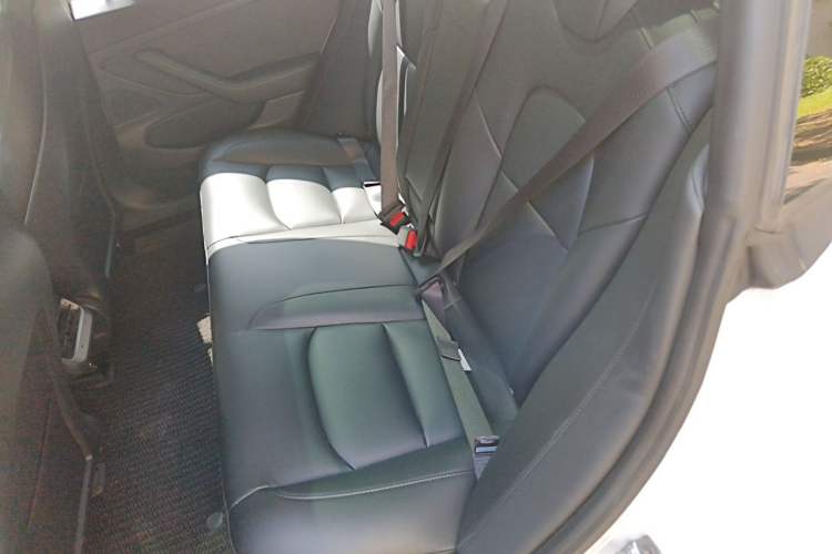 Used Tesla Model 3 2019 Standard Range Rear-Drive Upgraded Version Left Rear Seat