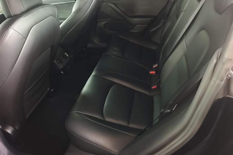Used Tesla Model 3 2019 Standard Range Rear-Drive Upgraded Version Left Rear Seat