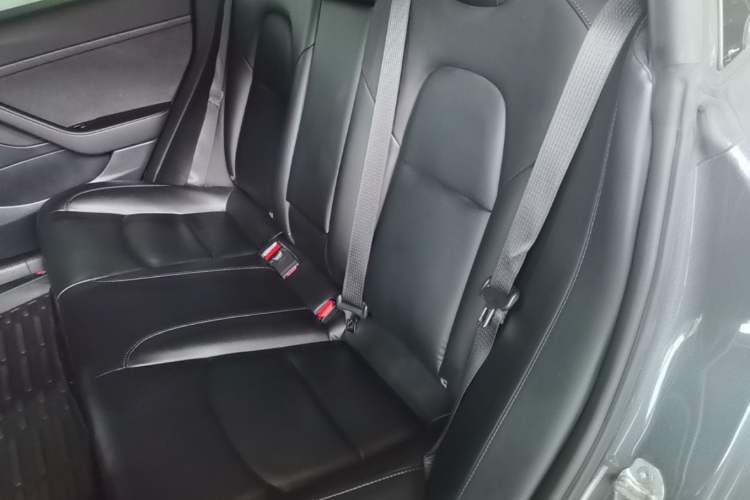 Used Tesla Model 3 2019 Standard Range Rear-Drive Upgraded Version Left Rear Seat