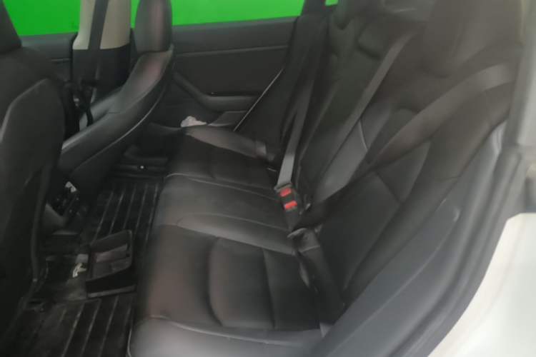 Used Tesla Model 3 2019 Standard Range Rear-Drive Upgraded Version Left Rear Seat