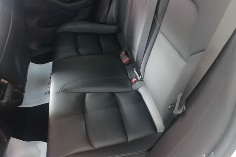 Used Tesla Model 3 2019 Long-Range Rear-Wheel-Drive Version Left Rear Seat